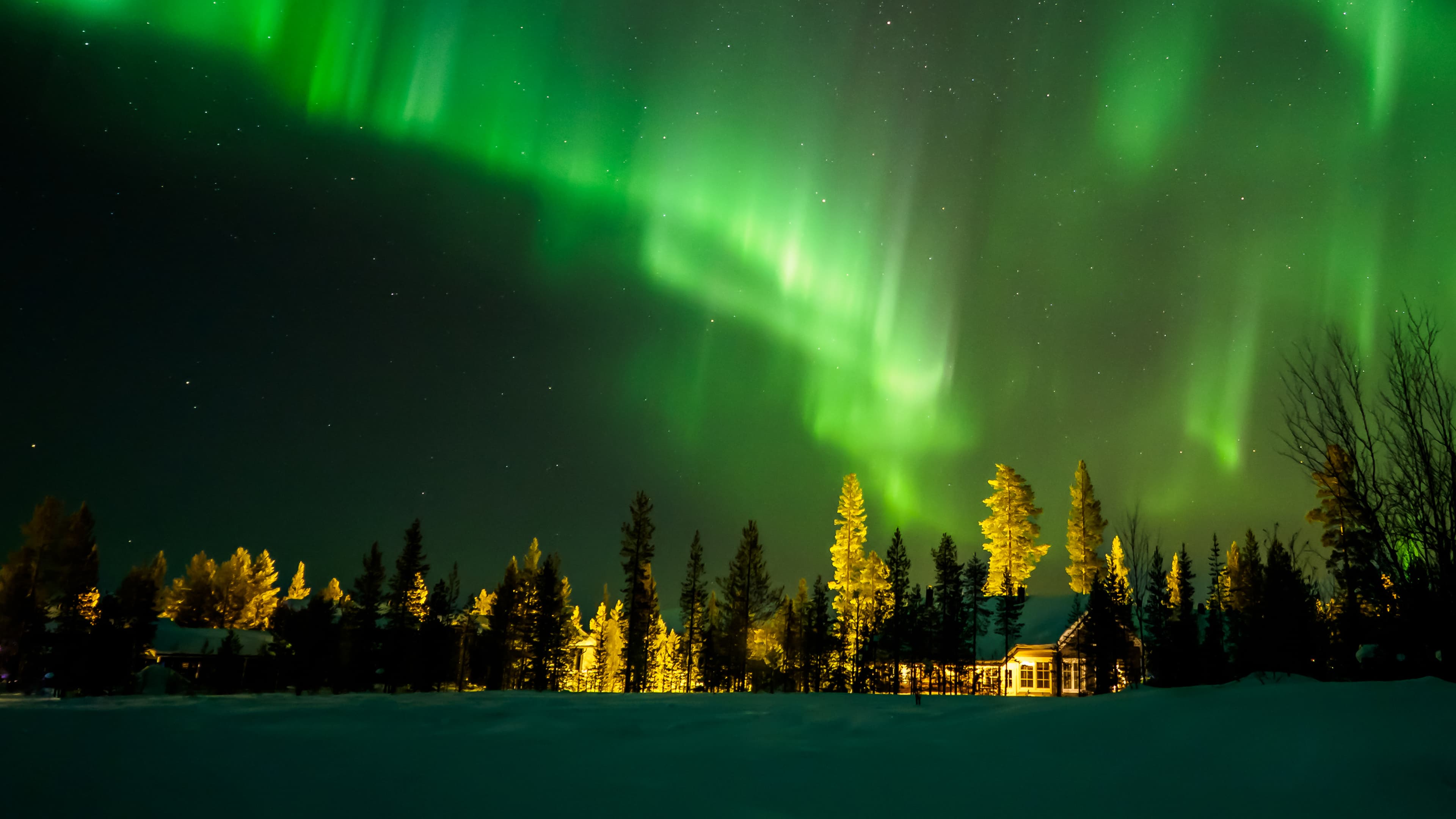 Study in Finland